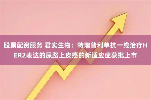 股票配资服务 君实生物：特瑞普利单抗一线治疗HER2表达的尿路上皮癌的新适应症获批上市
