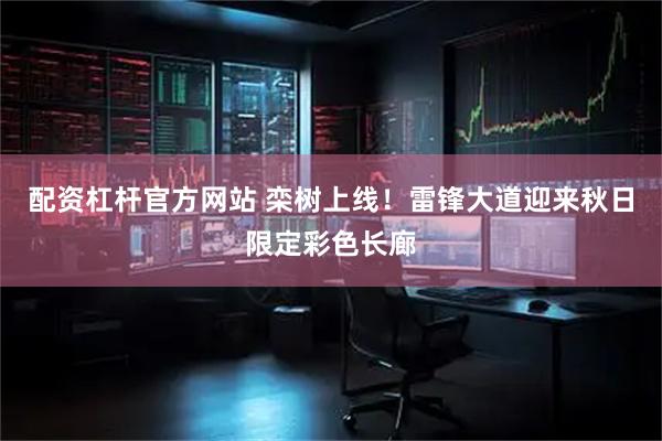 配资杠杆官方网站 栾树上线！雷锋大道迎来秋日限定彩色长廊